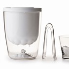 Isspand med isbj�rn