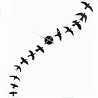 DIY v�gur med fugle - sort