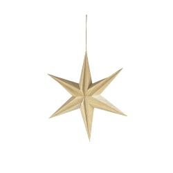 Stjerne i trfiner - small