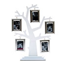 Familietr� med fotorammer