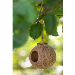 Kokosnød med ophæng - fuglehus