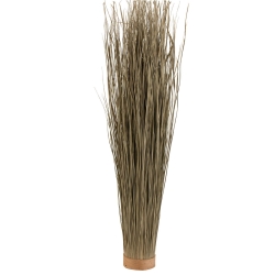 Tørret græs plante 95 cm