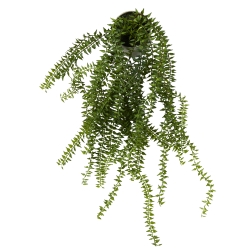 Kunstik hngende plante - ager padderok