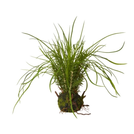 Grsplante kunstig - 35 cm